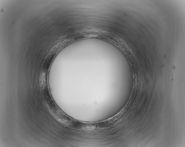 X0000087420598200704201047