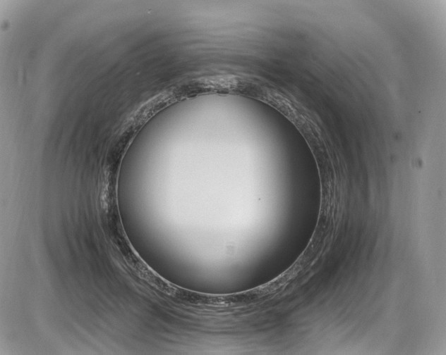X0000087420600200704201047