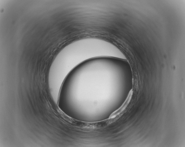 X0000087420604200704201047