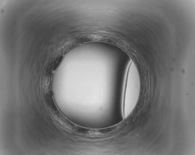 X0000087420605200704201047