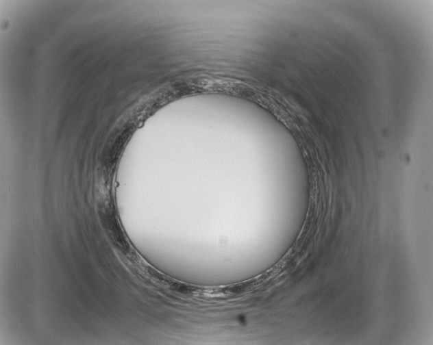 X0000087420607200704201047