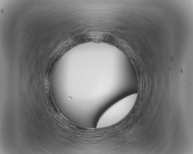 X0000087420609200704201047