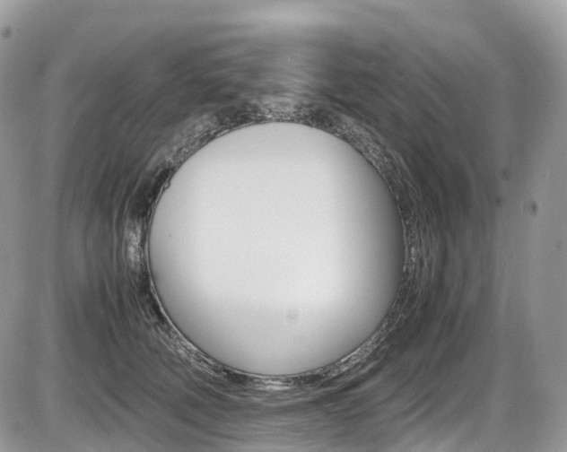 X0000087420610200704201047
