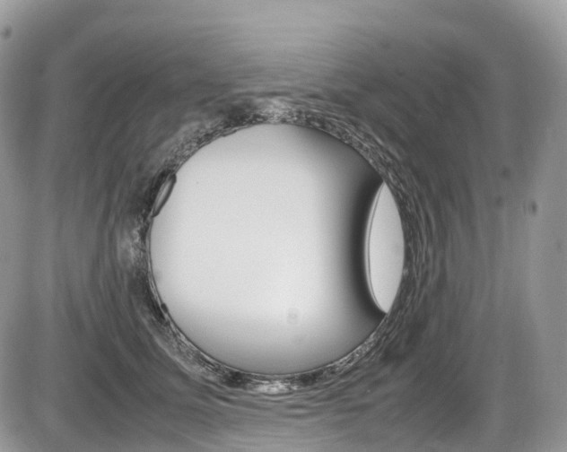 X0000087420611200704201047