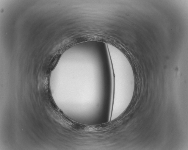 X0000087420613200704201047