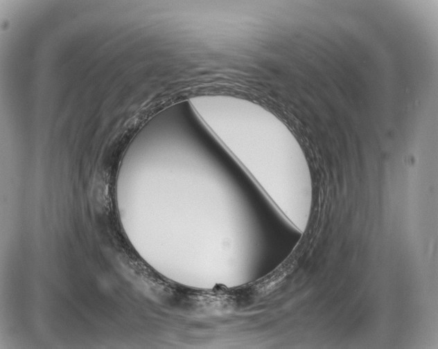 X0000087420615200704201047