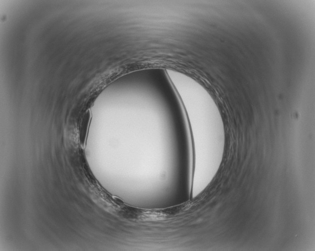 X0000087420617200704201047