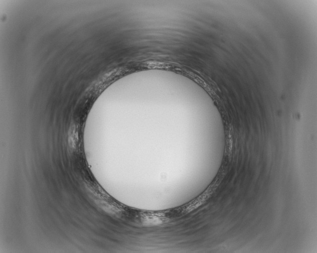 X0000087420618200704201047