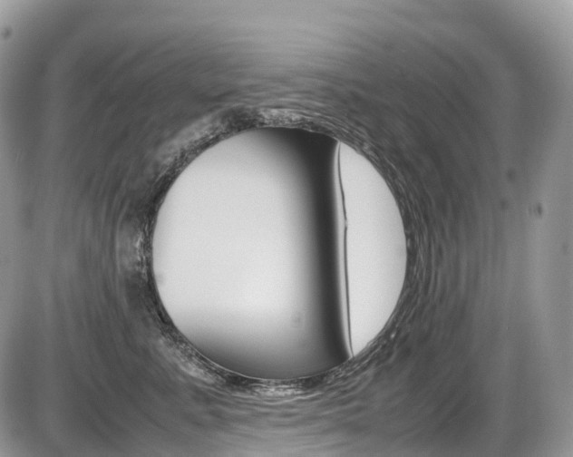 X0000087420619200704201047