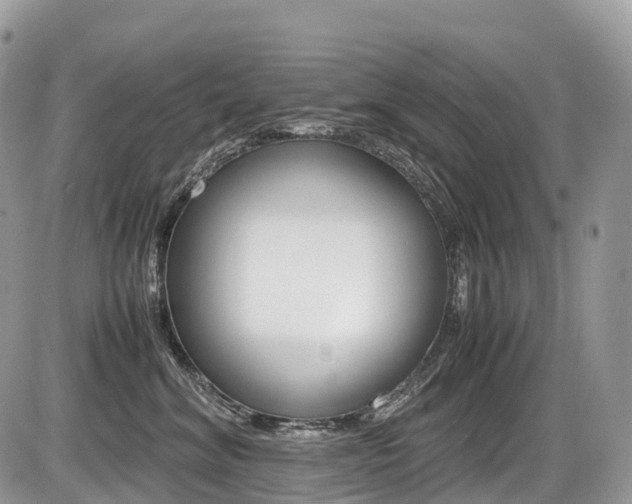 X0000087420620200704201047