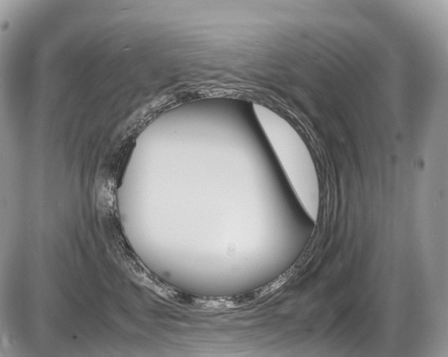 X0000087420621200704201047