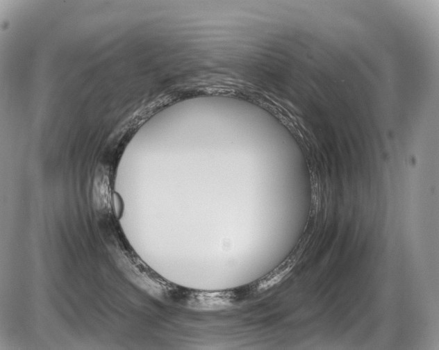 X0000087420622200704201047