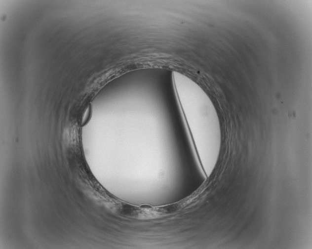 X0000087420623200704201047