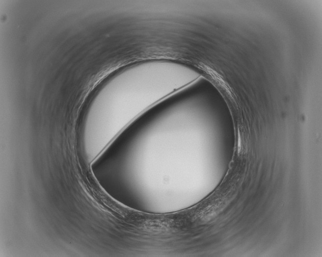 X0000087420627200704201046