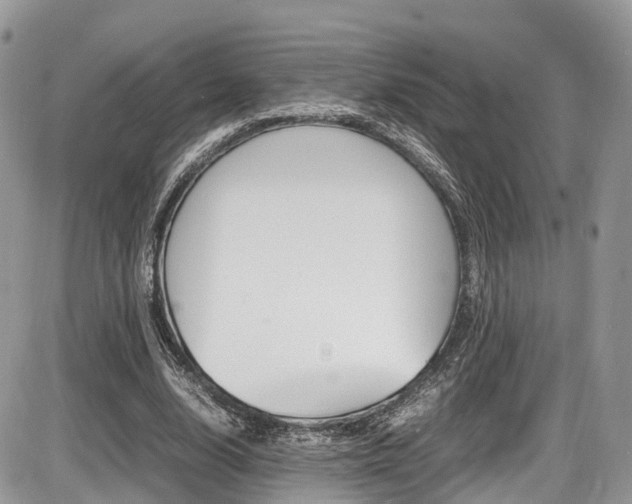X0000087420632200704201046