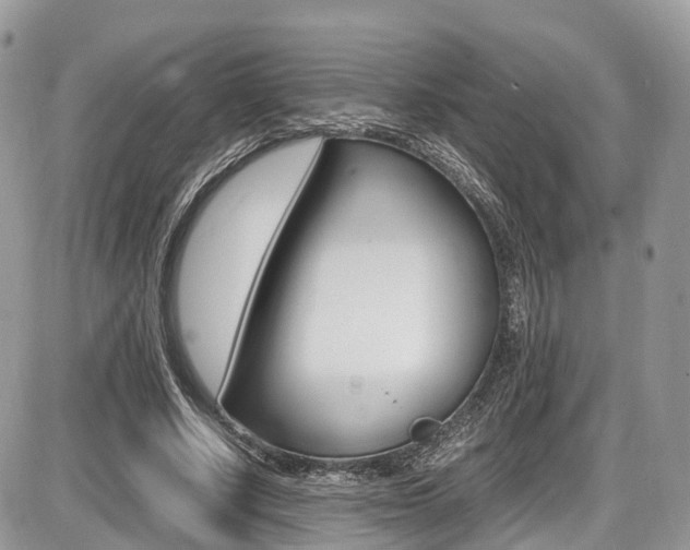 X0000087420634200704201046