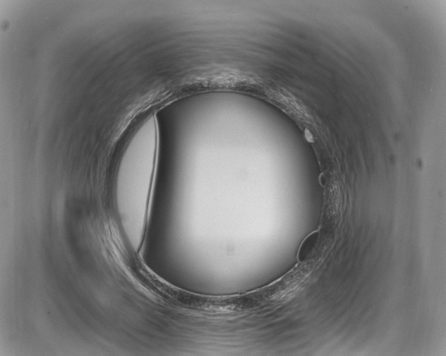 X0000087420638200704201046