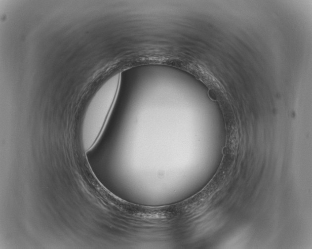 X0000087420639200704201046