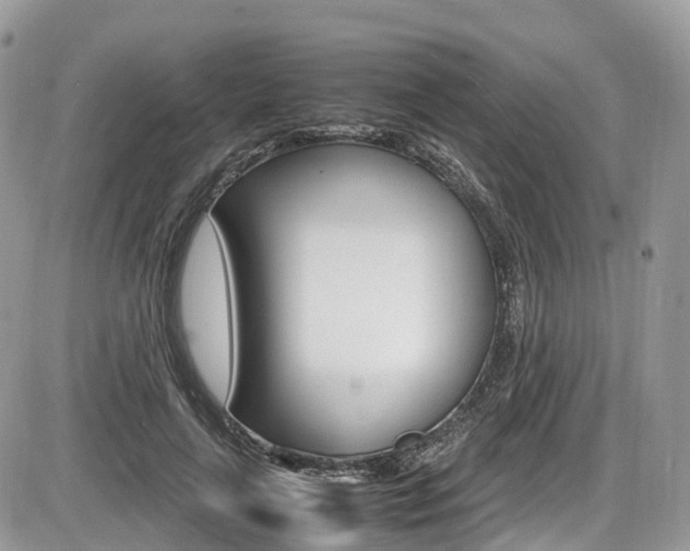 X0000087420643200704201046