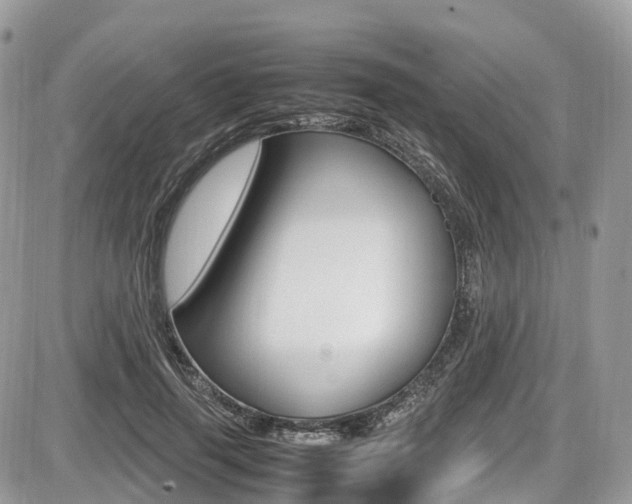 X0000087420645200704201046