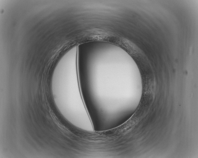 X0000087420646200704201046