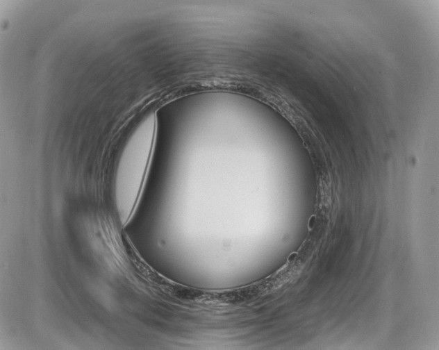 X0000087420648200704201046
