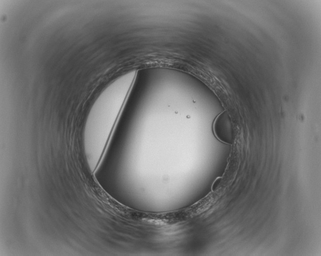X0000087420649200704201047