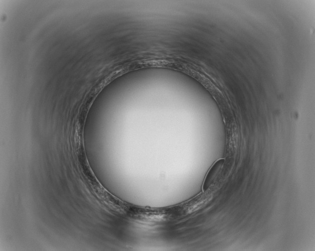 X0000087420651200704201047