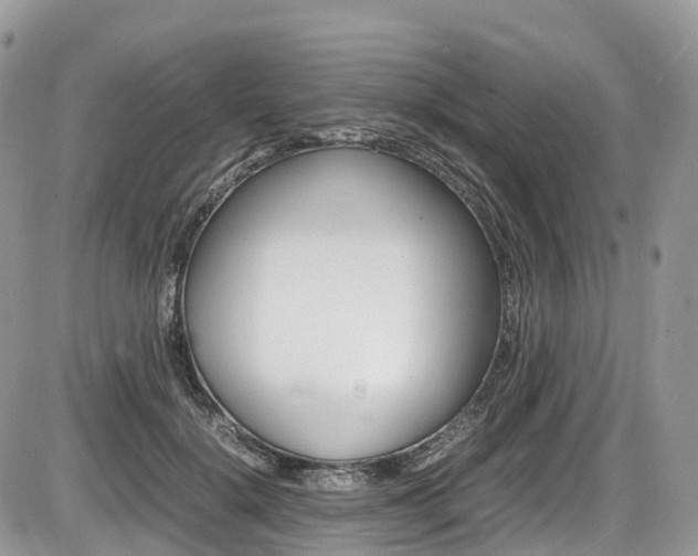 X0000087420652200704201047