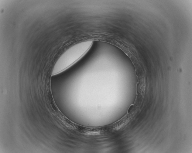 X0000087420653200704201047