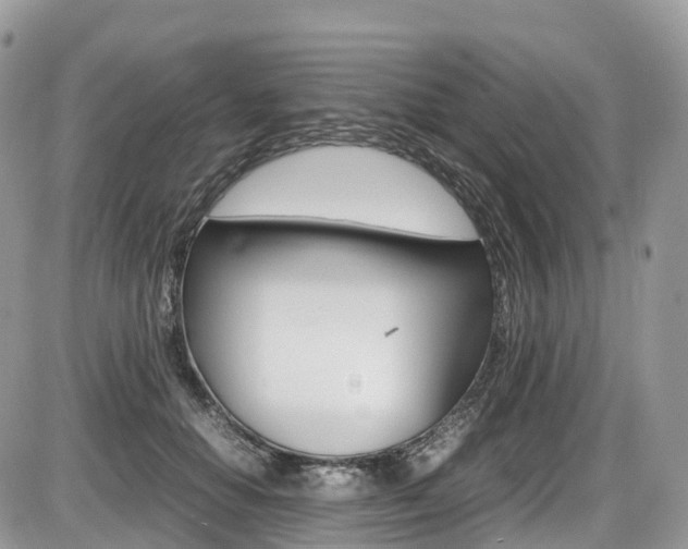X0000087420654200704201047