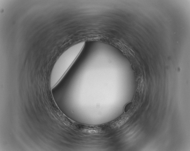 X0000087420655200704201047