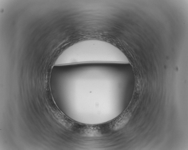 X0000087420656200704201047