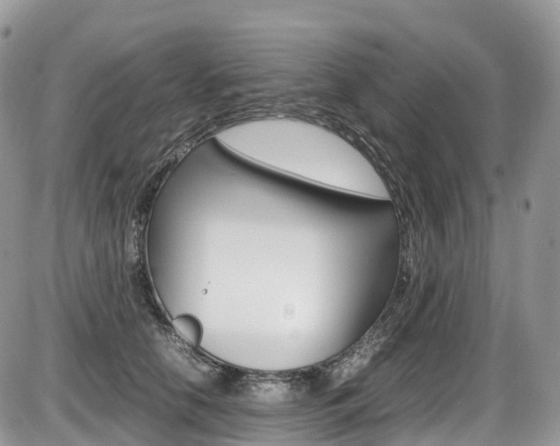 X0000087420658200704201047