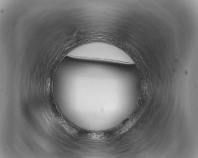 X0000087420660200704201047