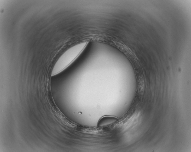 X0000087420661200704201047