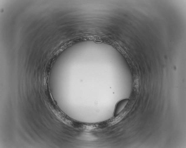 X0000087420662200704201047