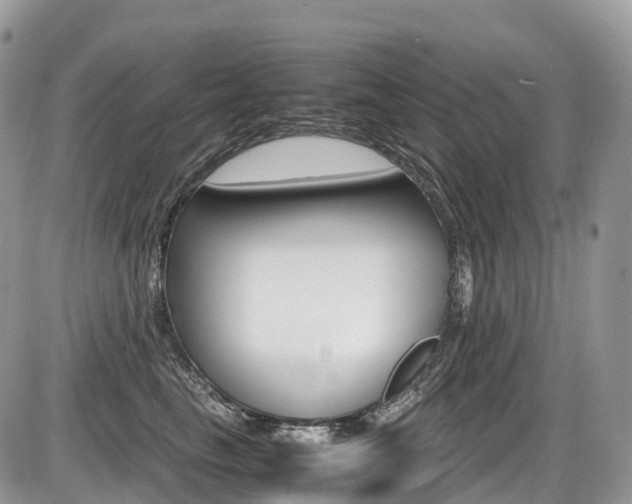 X0000087420665200704201047