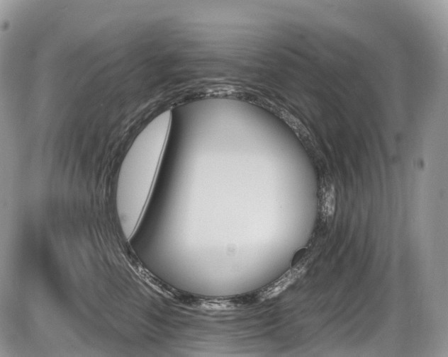 X0000087420666200704201047