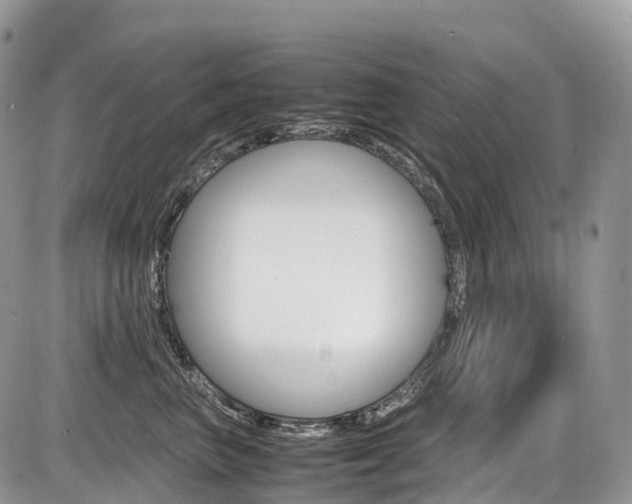 X0000087420667200704201047