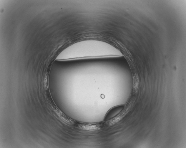 X0000087420669200704201047