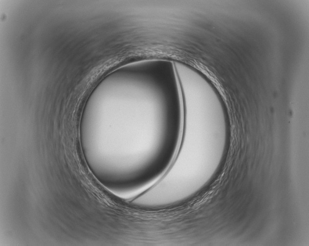 X0000087420673200704201046