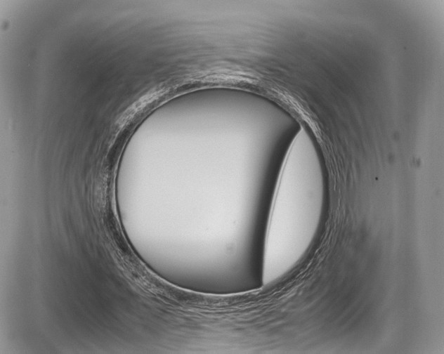 X0000087420675200704201046