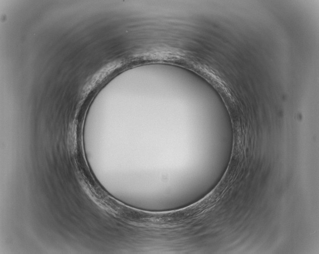 X0000087420678200704201046