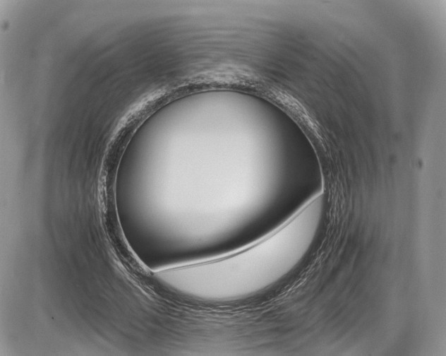 X0000087420680200704201046