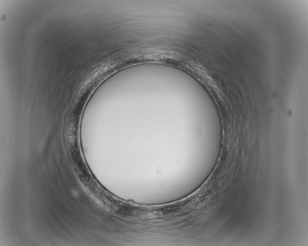 X0000087420683200704201046