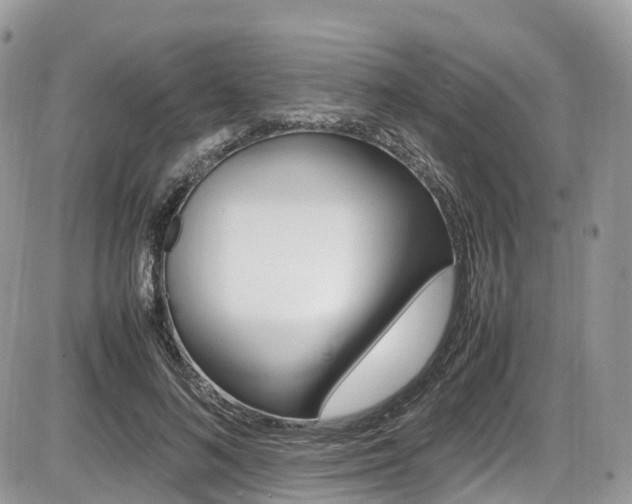 X0000087420692200704201046
