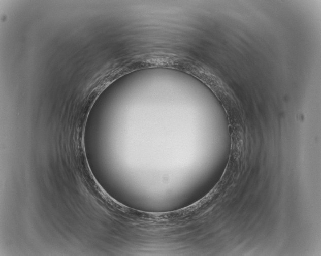 X0000087420696200704201046