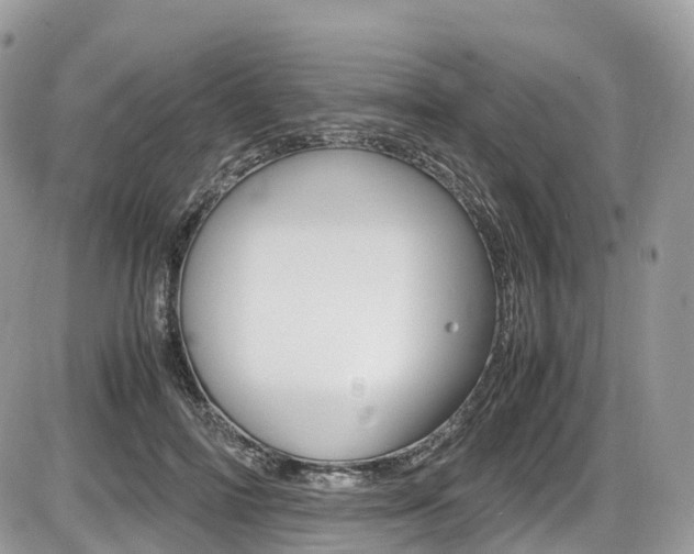 X0000087420698200704201046