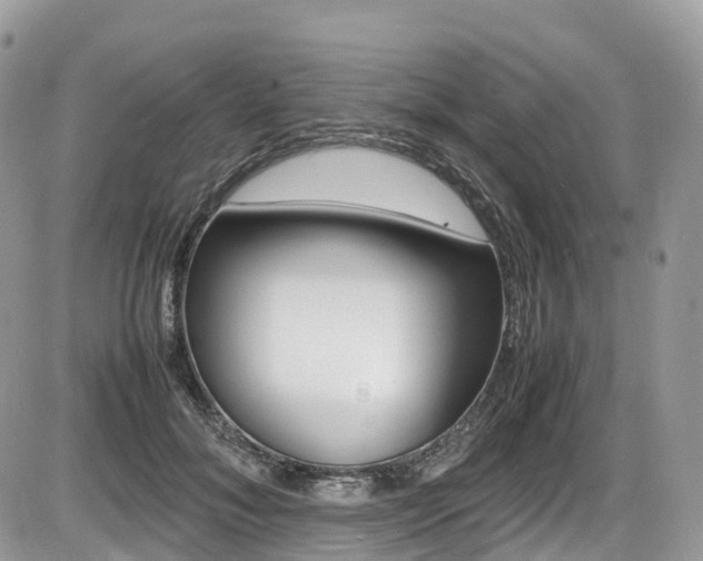 X0000087420700200704201046